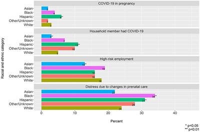 Contributions of COVID-19 Pandemic-Related Stressors to Racial and Ethnic Disparities in Mental Health During Pregnancy